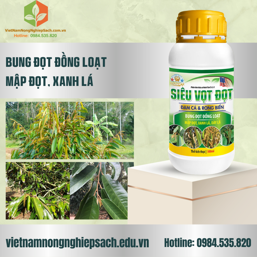 PHÂN BÓN HỮU CƠ SIÊU VỌT ĐỌT PHÂN BÓN HỮU CƠ SIÊU VỌT ĐỌT