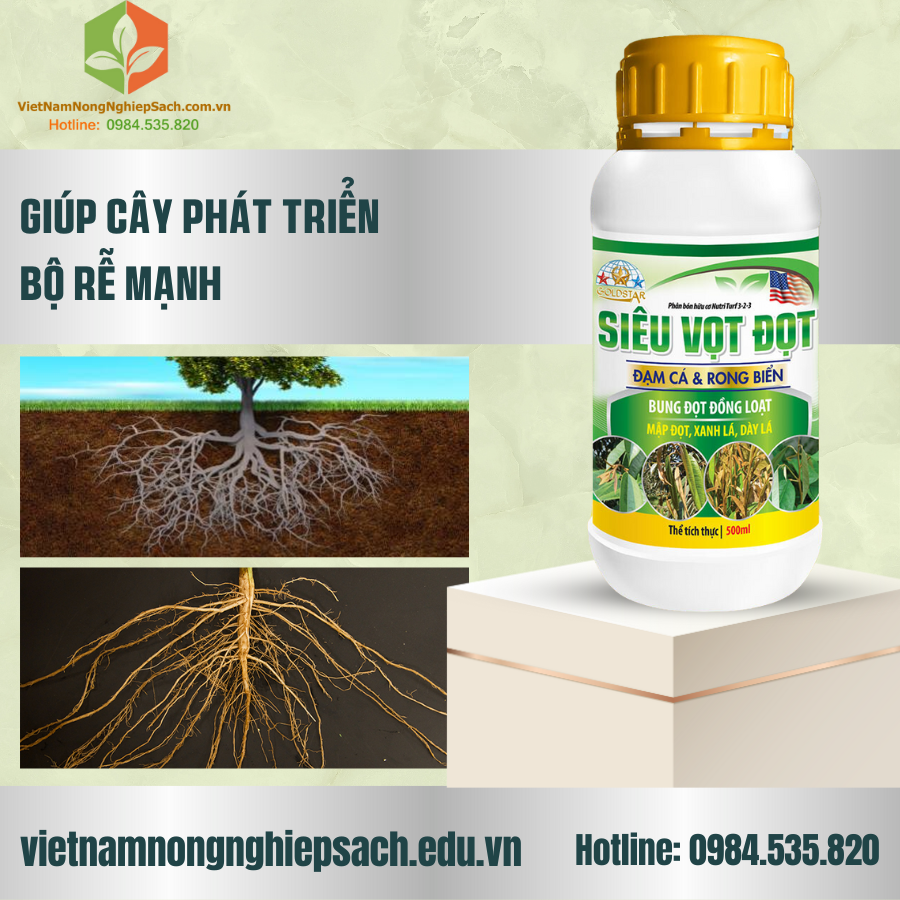 PHÂN BÓN HỮU CƠ SIÊU VỌT ĐỌT PHÂN BÓN HỮU CƠ SIÊU VỌT ĐỌT