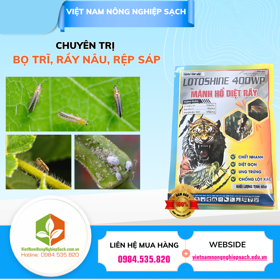 LOTOSHINE 400WP – HIỆU MÃNH HỔ DIỆT RẦY