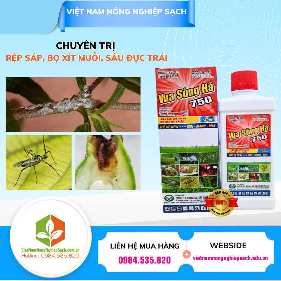 VUA SÙNG HÀ 750