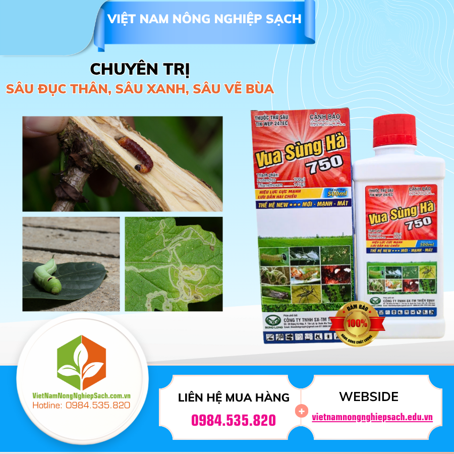 VUA SÙNG HÀ 750