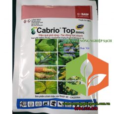 CABRIO-TOP-600WG-100GR
